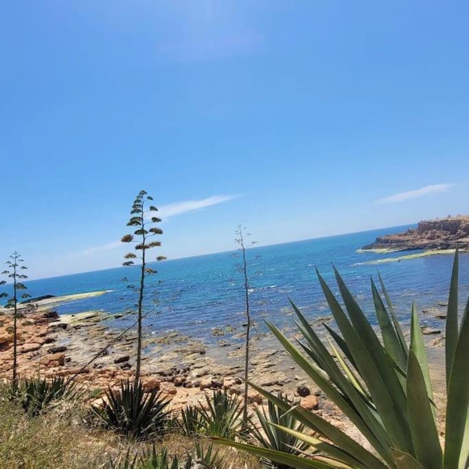 Belle Mar Sea View Studio Torrevieja Exterior photo